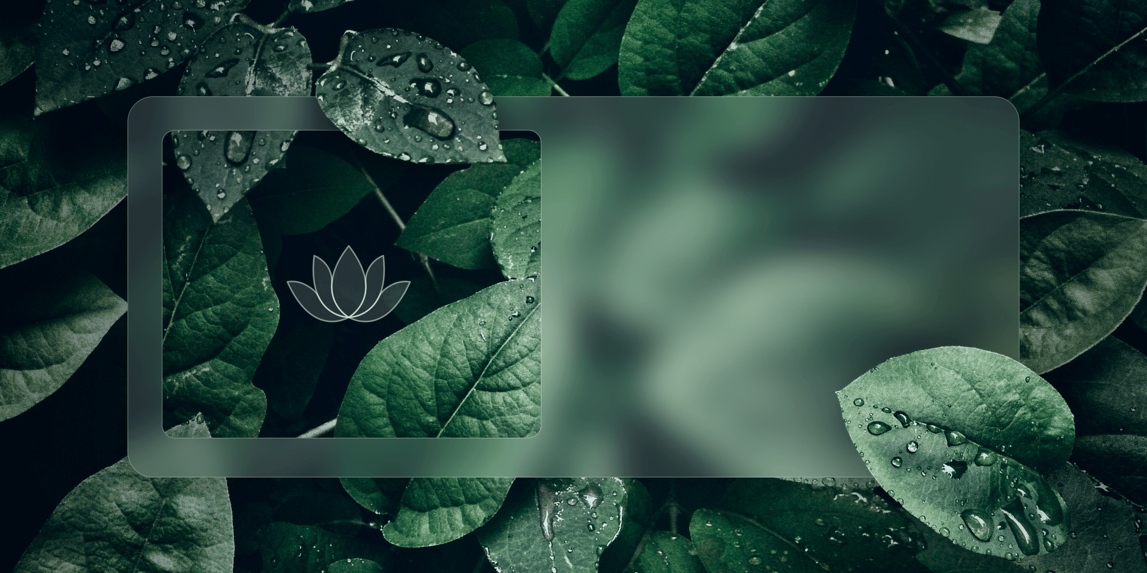 leaf background desktop